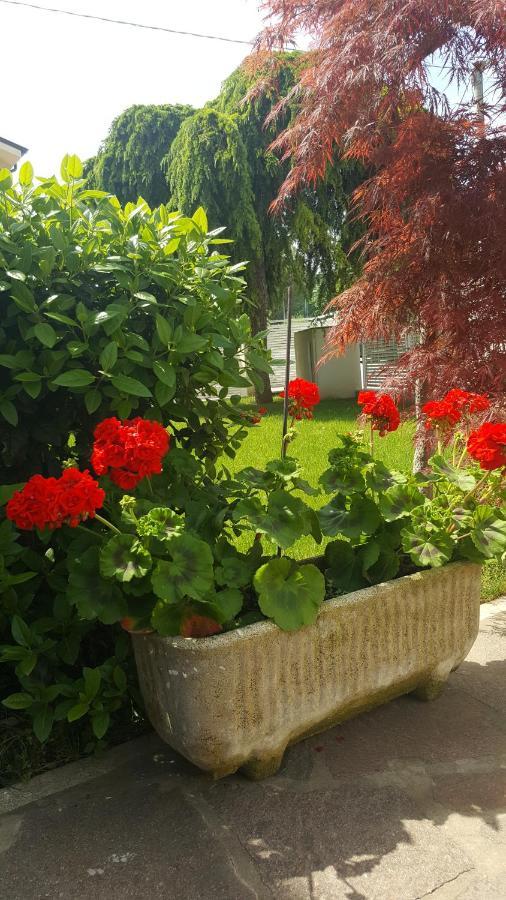 B&B "Al Colle 11" Fano Exterior foto